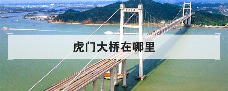 虎门大桥在哪里