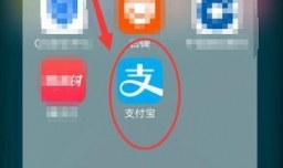 世界杯怎么买球