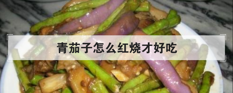 青茄子怎么红烧才好吃