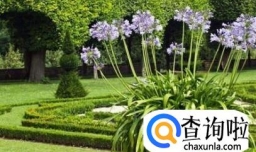 家里怕冷的花草多肉蔬菜等植物怎么过冬