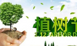 植树节的手抄报内容写什么？