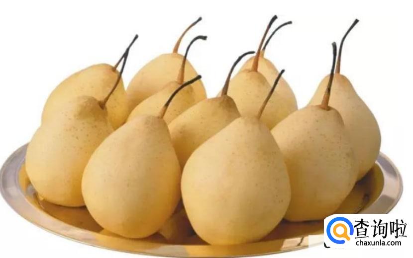 润肺养肺什么东西最好