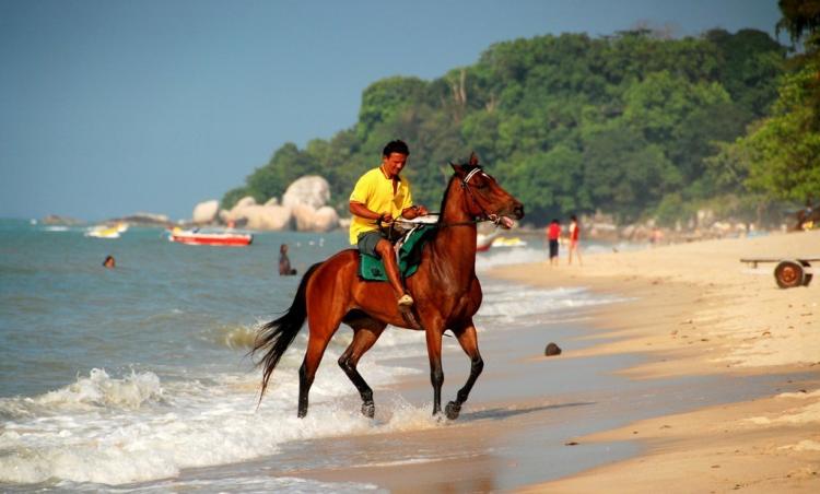 马来人是哪里人