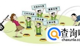 大学生应该树立怎样的择业观和创业观?