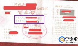 如何查询河南国税定额发票