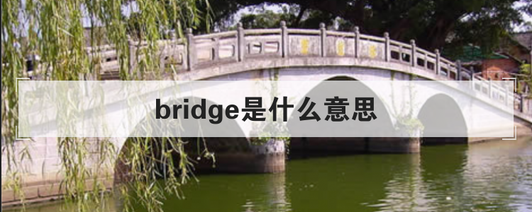 bridge是什么意思
