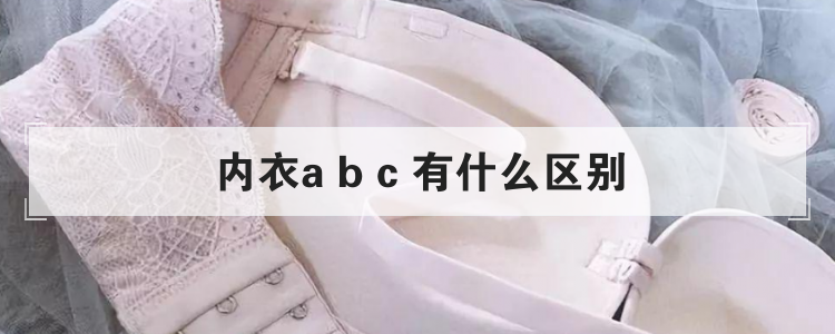 内衣a b c 有什么区别