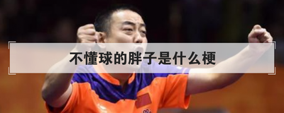 不懂球的胖子是什么梗