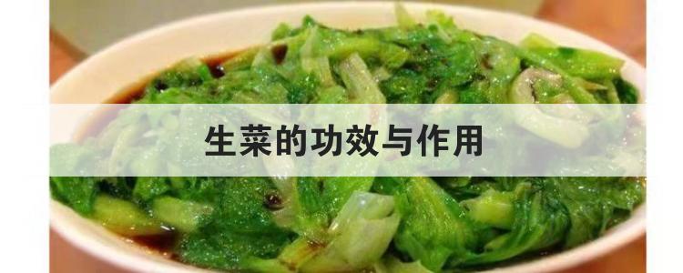 生菜的功效与作用