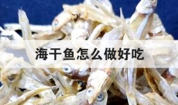 海干鱼怎么做好吃
