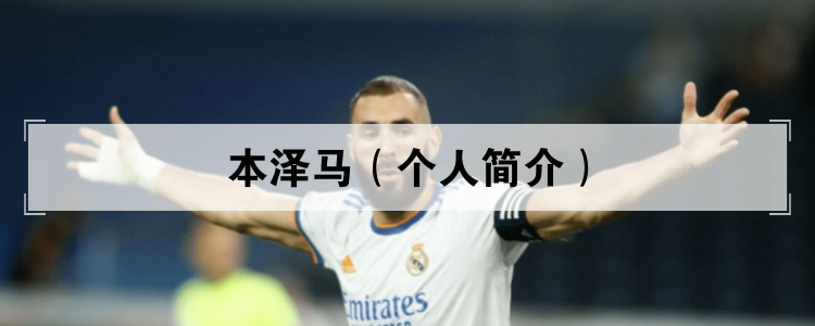 卡里姆·本泽马（个人简介）