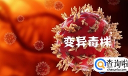 我国首次检出XBB.1.5  需要做哪些准备