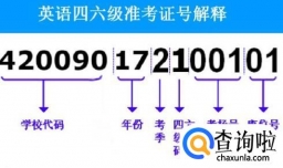 英语四级准考证号忘了怎么查成绩