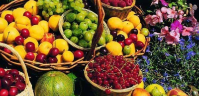 有哪些常见的热带水果