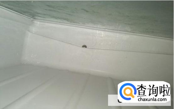 冰箱从底下往外流水解决措施