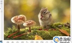 图片如何快速去除水印？比ps快10倍不止！