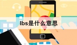 lbs是什么意思