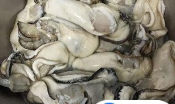 自制生蚝鸡尾酱