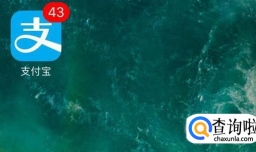 手机支付宝中怎么查看获得的奖励金和使用情况