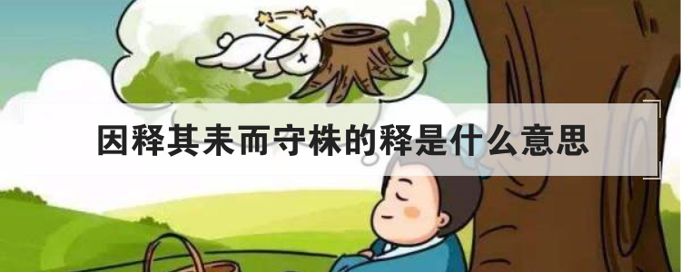 因释其耒而守株的释是什么意思