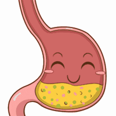 人的体液中酸性最强的是什么