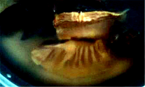 清蒸金华火腿的家常做法