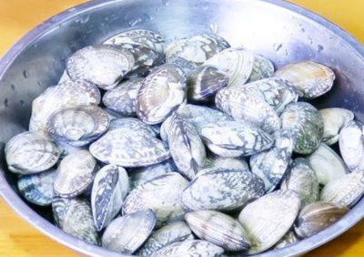 文蛤和花蛤的区别