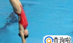 跳水的动作代码代表什么含义