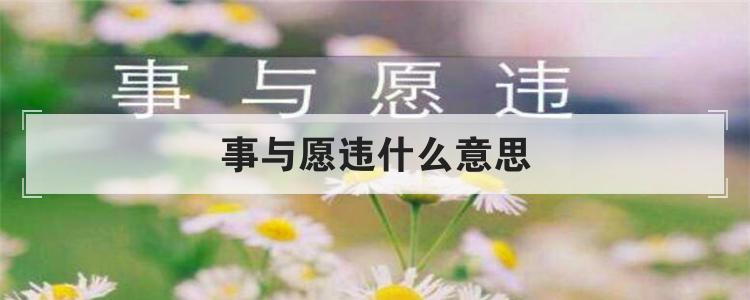 事与愿违什么意思