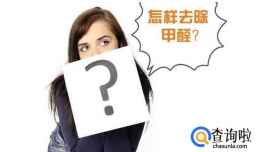 怎样快速去除甲醛？