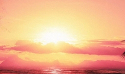 人的本质属性是什么？