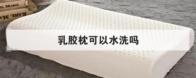 乳胶枕可以水洗吗