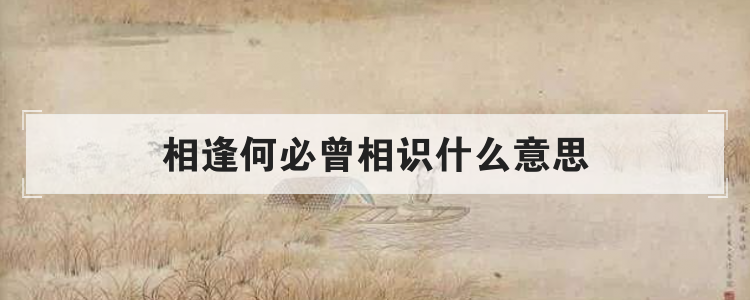 相逢何必曾相识什么意思