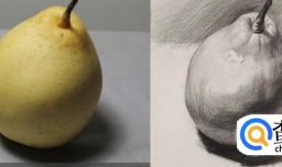 素描一种水果梨