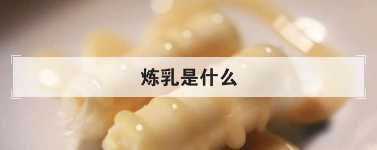 炼乳是什么