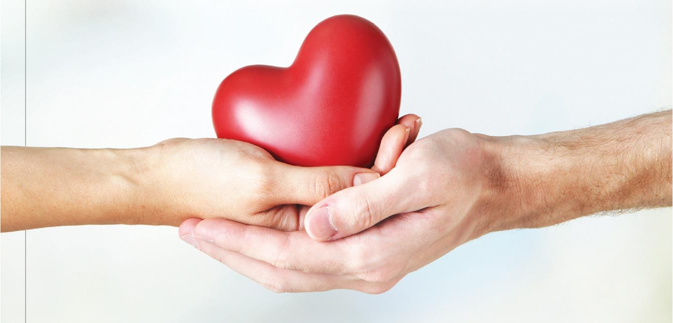 器官移植为什么都用猪的