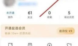 知乎软件如何打开双击赞同功能