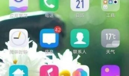 怎么才能打开vivo私密相册