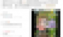 小鸡词典怎么样修改密码