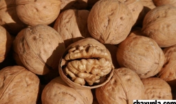 吃核桃有什么功效