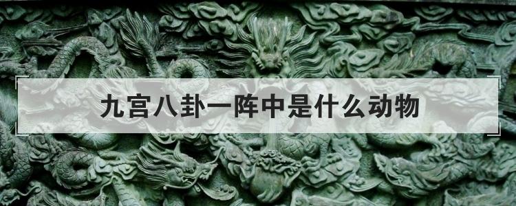 九宫八卦一阵中是什么动物