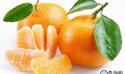 常吃这些食物还你浓郁秀发