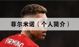 菲尔米诺（个人简介）