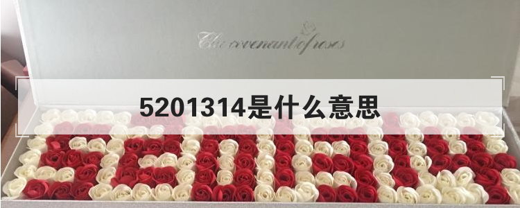 5201314是什么意思