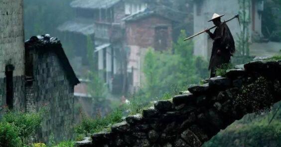 斜风细雨不须归的意思