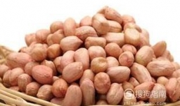 花生芽的制作方法