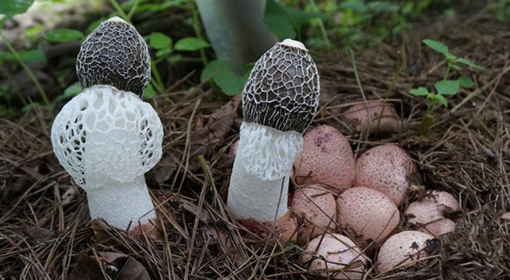 送领导什么礼物好