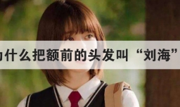 为什么把额前的头发叫刘海