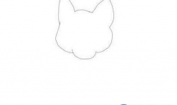 怎么画二哈的简笔画？