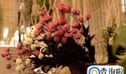 怎么把鲜花制作成干花？